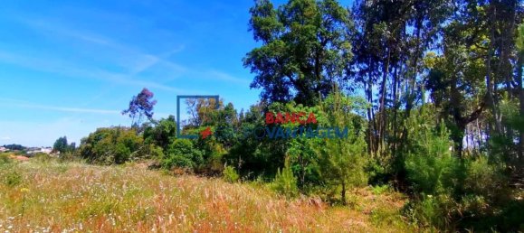 13820m² Land in Cartaxo, Portugal No. 88976 7