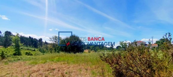 13820m² Land in Cartaxo, Portugal No. 88976 9