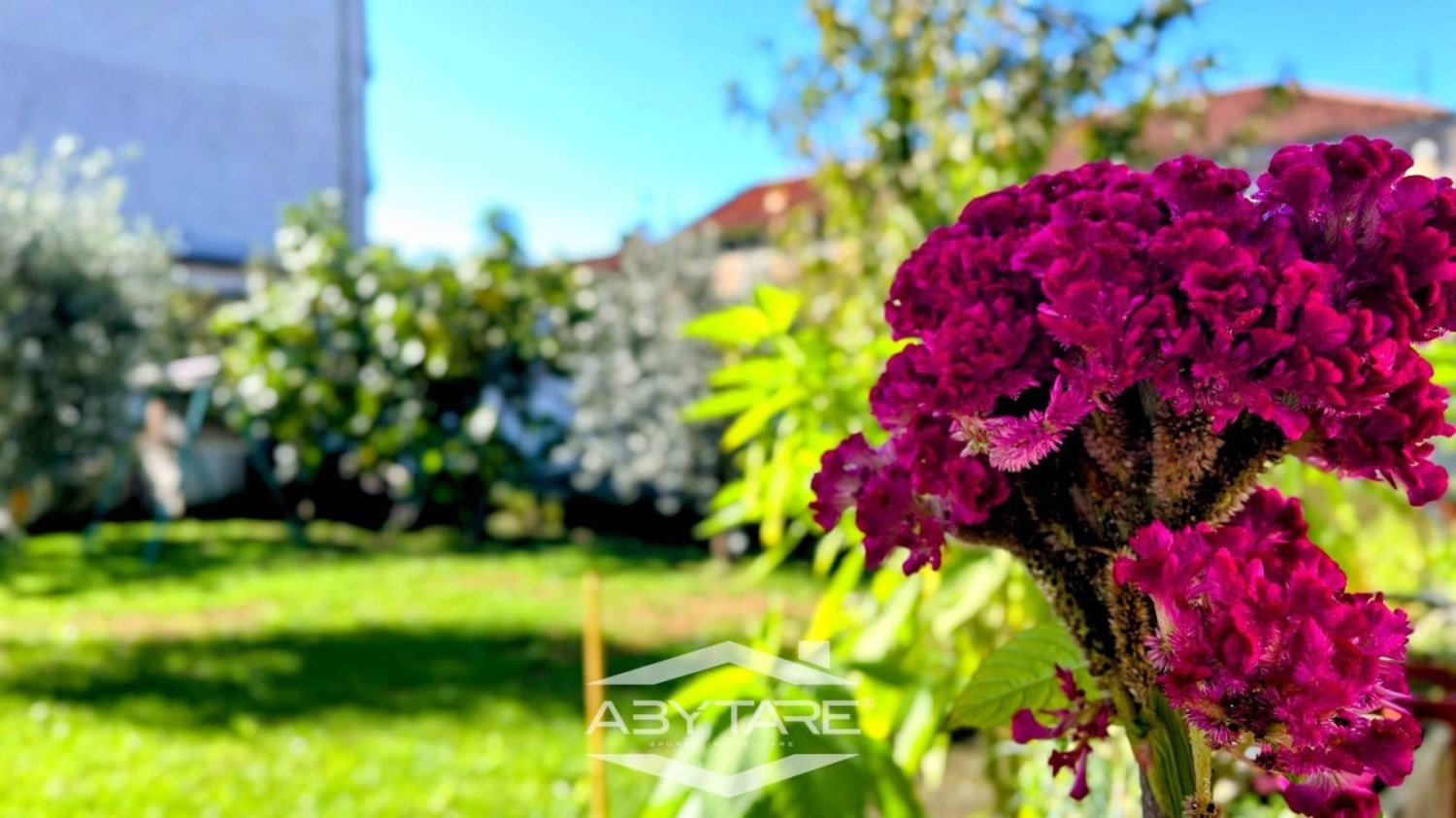 5 rooms Villa in Vinovo, Italy No. 116447