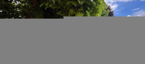 6 chambres Villa à Hochstatt, France No. 70309 24