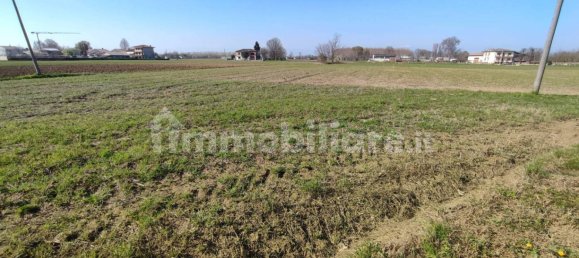 4 bedrooms Villa in San Giorgio in Bosco, Italy No. 220087 5