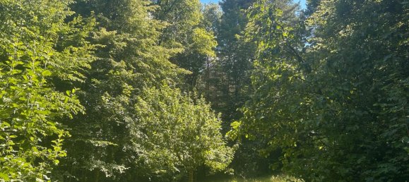 Terreno en Boblingen, Germany No. 333212 3