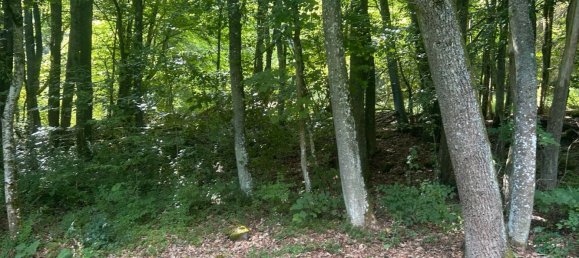 Terreno en Boblingen, Germany No. 333212 4