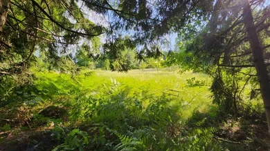 Terreno en Passail, Austria No. 254307