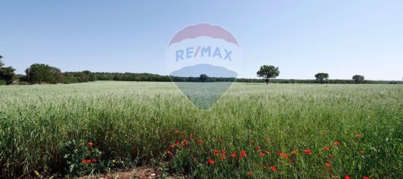 12-Zimmer Haus in Mottola, Italy, Nr. 308715 21