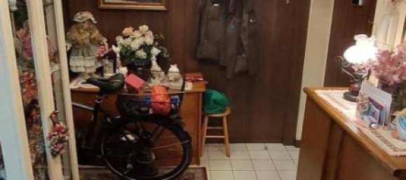 3 rooms Apartment in Traiskirchen, Austria No. 139557 2