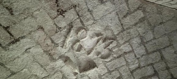 2 bedrooms House in Bruno, Italy No. 300007 20