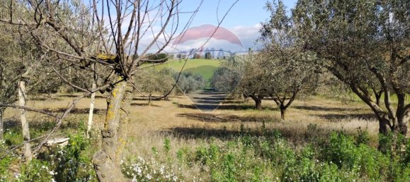 3غرفة فيلا في Caltagirone, Italy رقم 72155 10