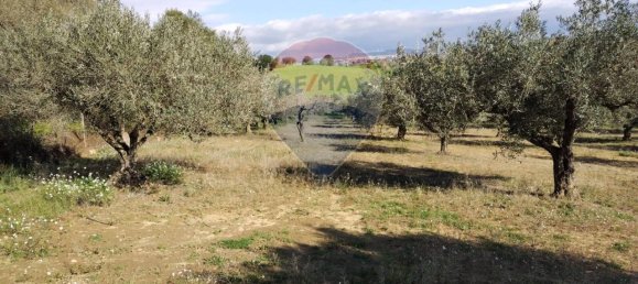 3غرفة فيلا في Caltagirone, Italy رقم 72155 13