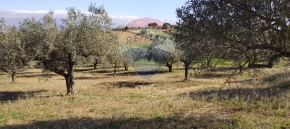 3غرفة فيلا في Caltagirone, Italy رقم 72155 11