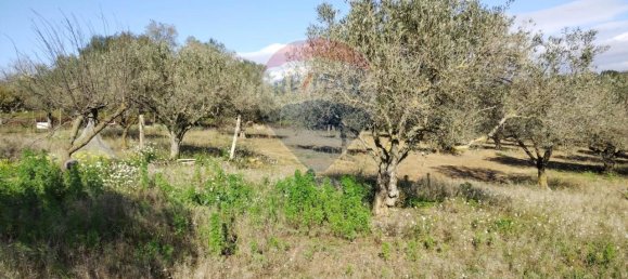 3غرفة فيلا في Caltagirone, Italy رقم 72155 8