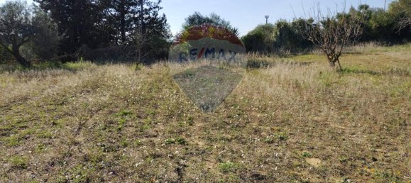 3غرفة فيلا في Caltagirone, Italy رقم 72155 6