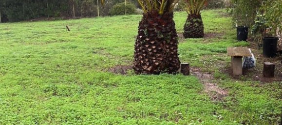 Terreno en Cádiz, Spain 560 m² No. 149833 17