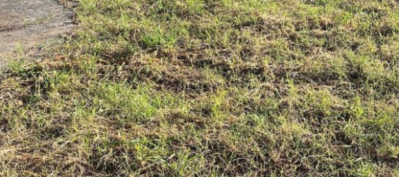 Terreno en Cádiz, Spain 560 m² No. 149833 18