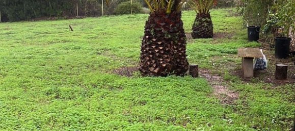 Terreno en Cádiz, Spain 560 m² No. 149833 8