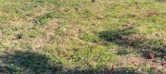 Terreno en Cádiz, Spain 560 m² No. 149833 19