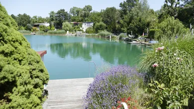 3 rooms House in Vienna, Austria No. 193863
