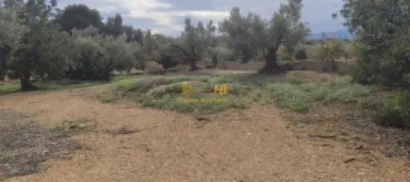 104m² Land in Tortosa, Spain No. 164954 3