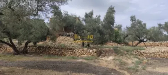 104m² Land in Tortosa, Spain No. 164954 9