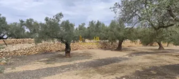 104m² Land in Tortosa, Spain No. 164954 8