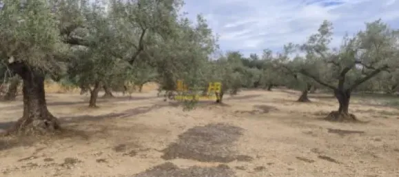 104m² Land in Tortosa, Spain No. 164954 12