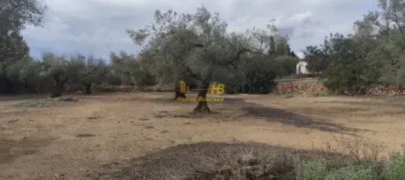 104m² Land in Tortosa, Spain No. 164954 11
