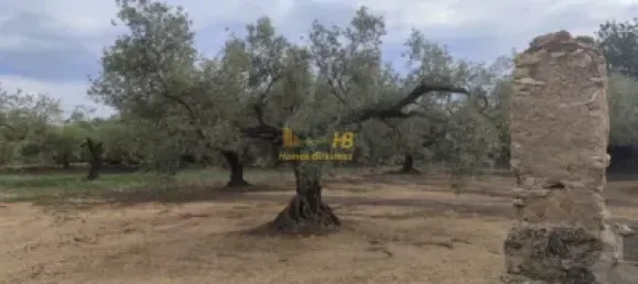 104m² Land in Tortosa, Spain No. 164954 2