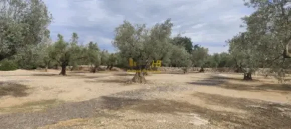 104m² Land in Tortosa, Spain No. 164954 5