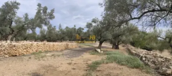 104m² Land in Tortosa, Spain No. 164954 7