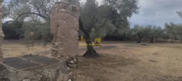 104m² Land in Tortosa, Spain No. 164954 15