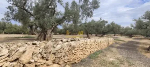 104m² Land in Tortosa, Spain No. 164954 6