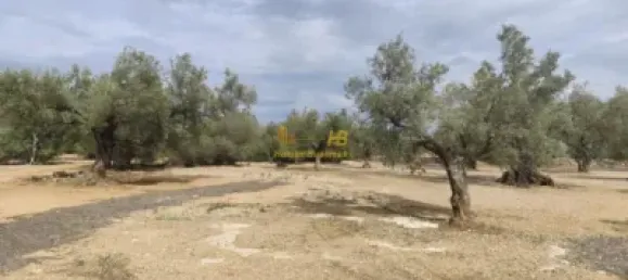 104m² Land in Tortosa, Spain No. 164954 4