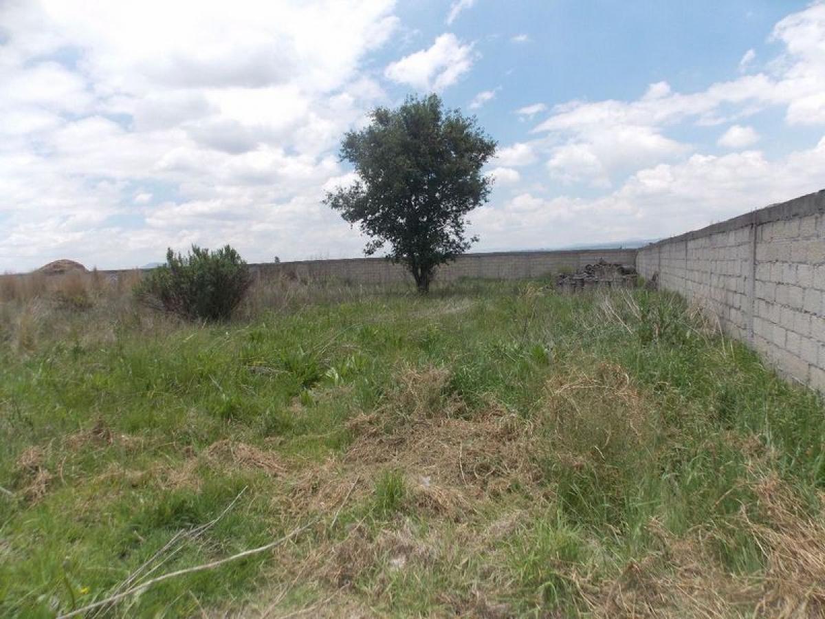  Land in Mexico No. 206450