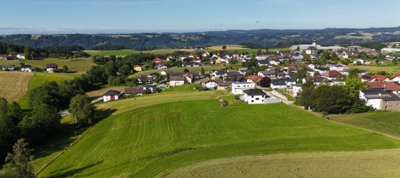Terrain à Hofkirchen im Muhlkreis, Austria No. 130752 5