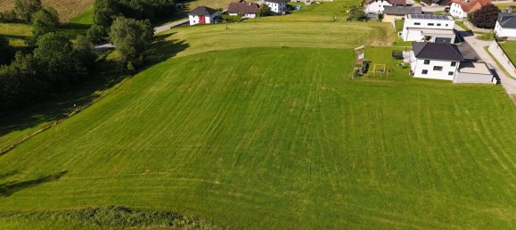 Terrain à Hofkirchen im Muhlkreis, Austria No. 130752 7