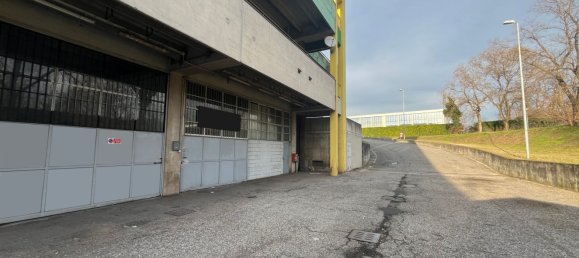 Коммерческая недвижимость 400м² в Ронкаделле, Италия № 335631 6