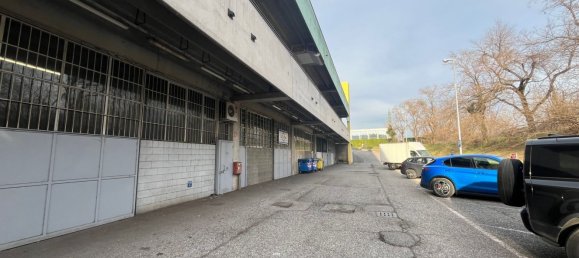 Коммерческая недвижимость 400м² в Ронкаделле, Италия № 335631 4