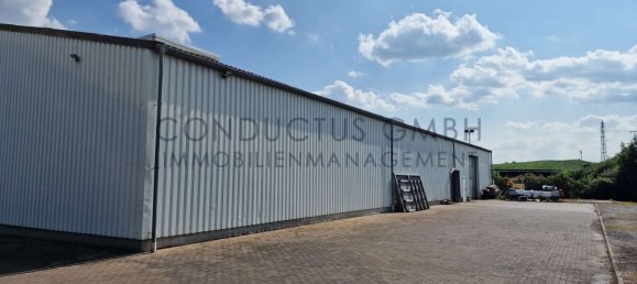  مستودع في Wesel, Germany 875متر مربع رقم 227779 3