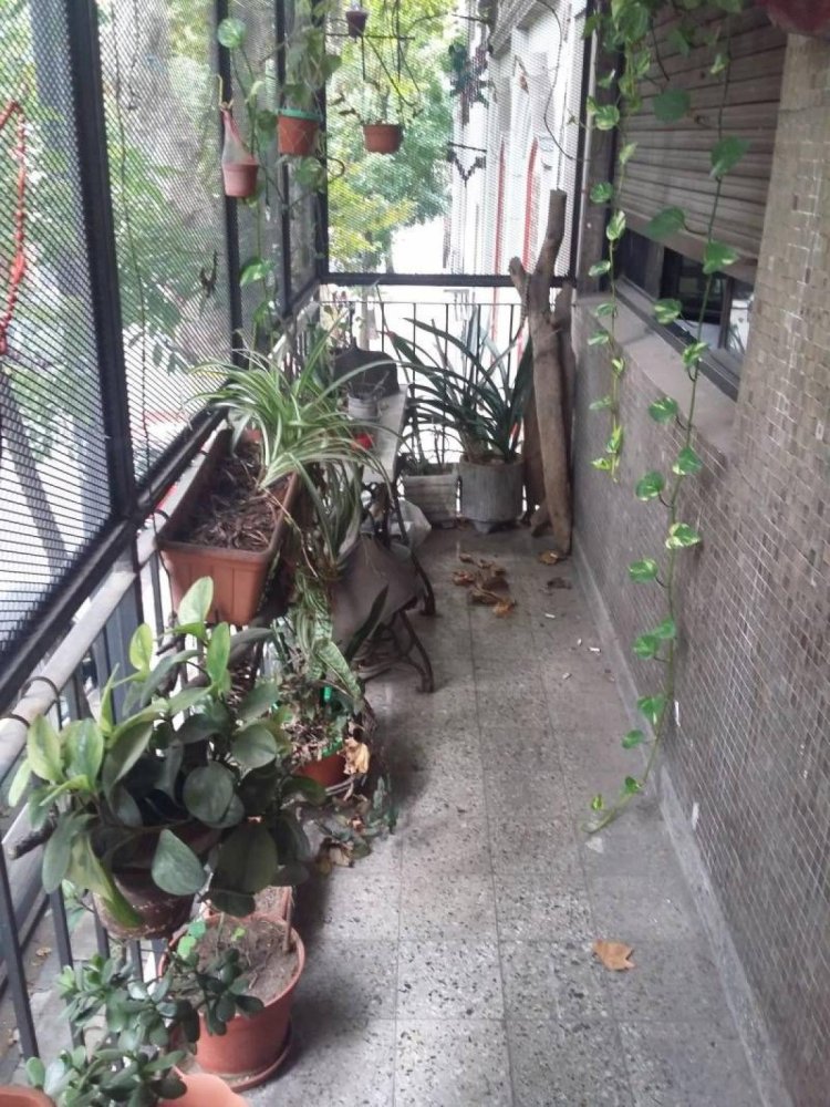 3 bedrooms Apartment in Buenos Aires, Argentina No. 83014