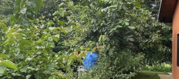 Estudio en venta en Atenas, Alajuela, Costa Rica № 492 4