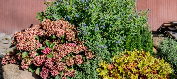 3 bedrooms Townhouse in Duren, Germany No. 286847 6