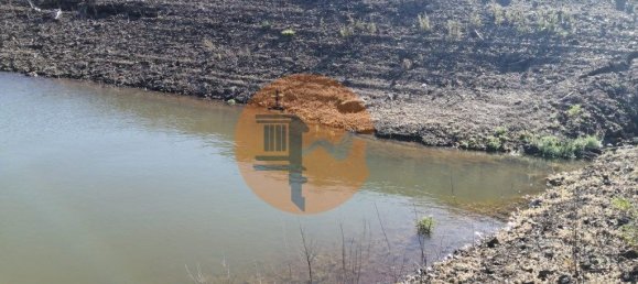 7640m² Land in Azinhal, Portugal No. 55754 48