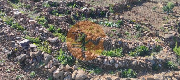 7640m² Land in Azinhal, Portugal No. 55754 12