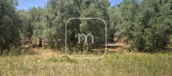 6 bedrooms House in Velletri, Italy No. 332873 6