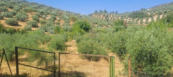 4 غرف نوم منزل في Cabra, Spain رقم 139096 22