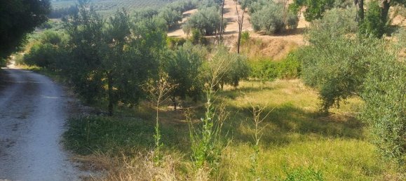 4 غرف نوم منزل في Cabra, Spain رقم 139096 21