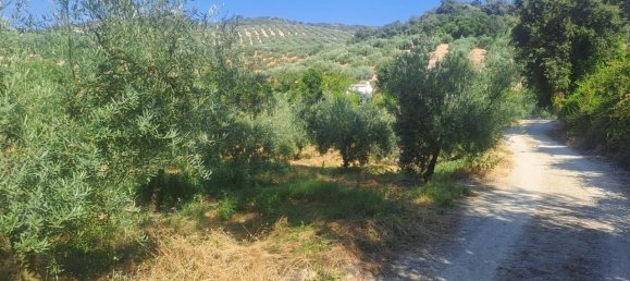 4 غرف نوم منزل في Cabra, Spain رقم 139096 20