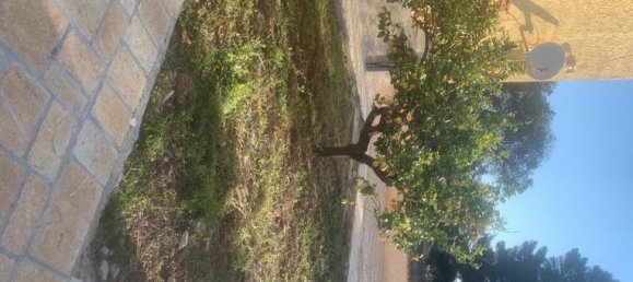 4 غرف نوم فيلا في San Vito dei Normanni, Italy رقم 350036 6