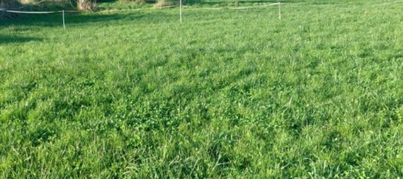 Terreno em Beaumont-en-Beine, France 1594 m² N.º 222371 3