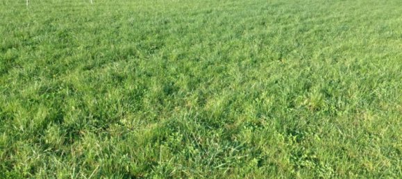 Terreno em Beaumont-en-Beine, France 1594 m² N.º 222371 5